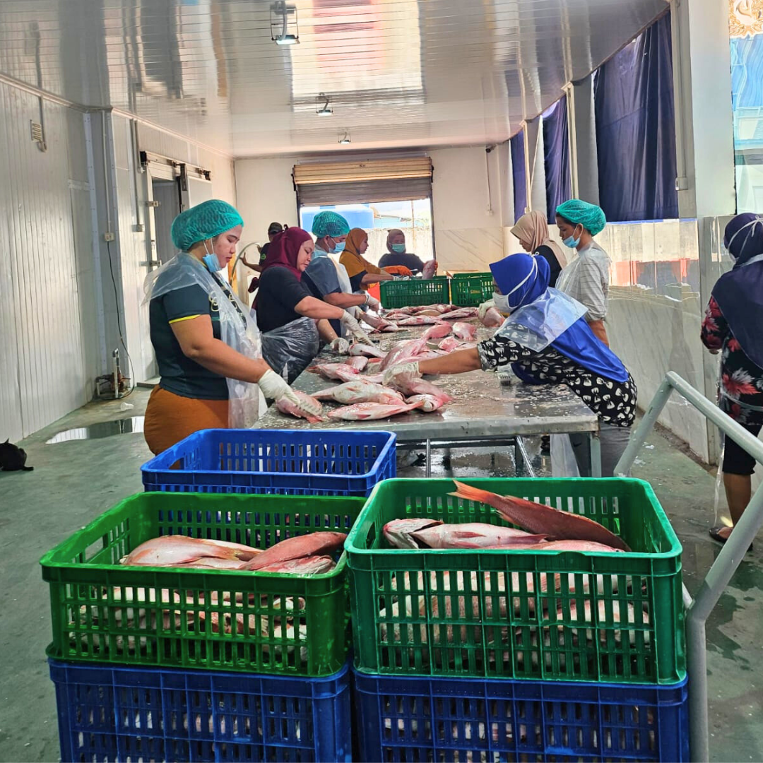 PROSES QUALITY CONTROL PERIKANAN