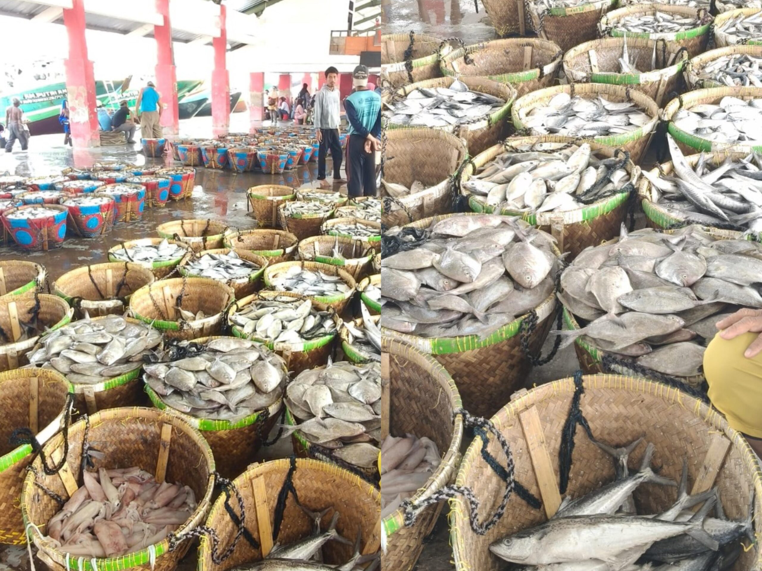 Kemitraan dengan Nelayan (Fasilitas Pendukung sumber Daya)